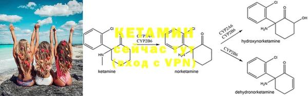 PSILOCYBIN Горнозаводск